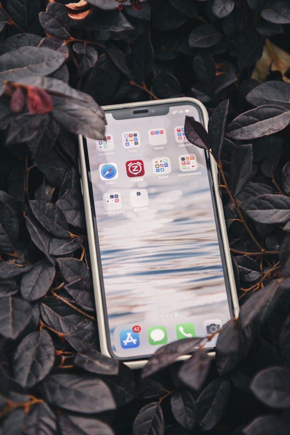 最新乐视手机款，科技与体验的新里程碑