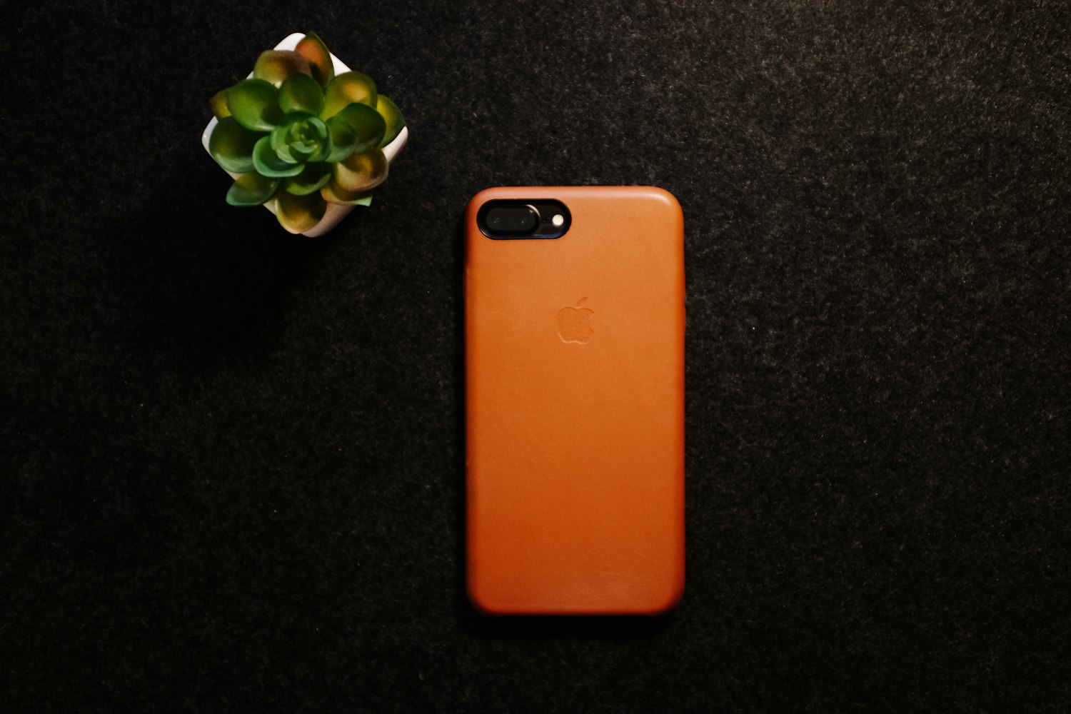 最新乐视手机款,科技与体验的新里程碑