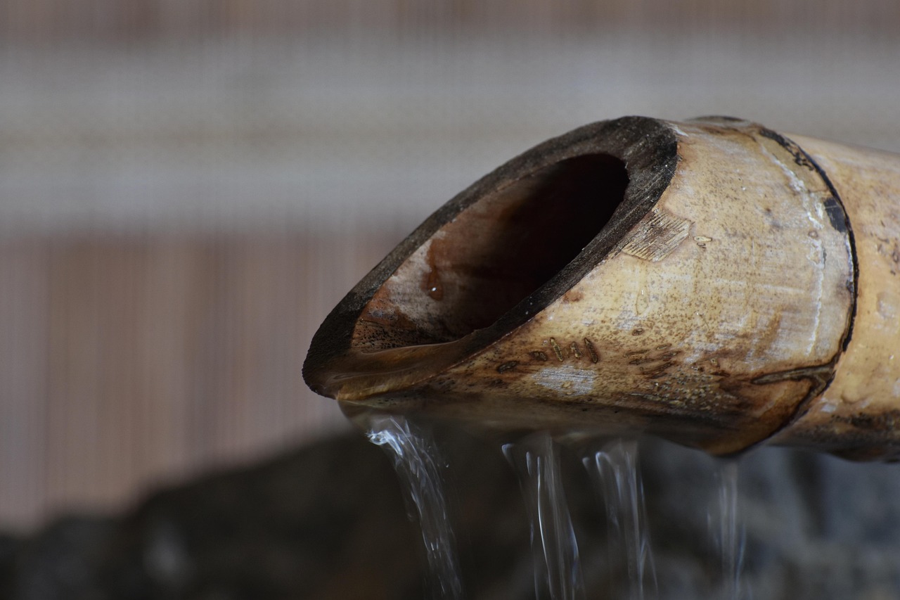 东明最新资讯概览,最新动态一网打尽