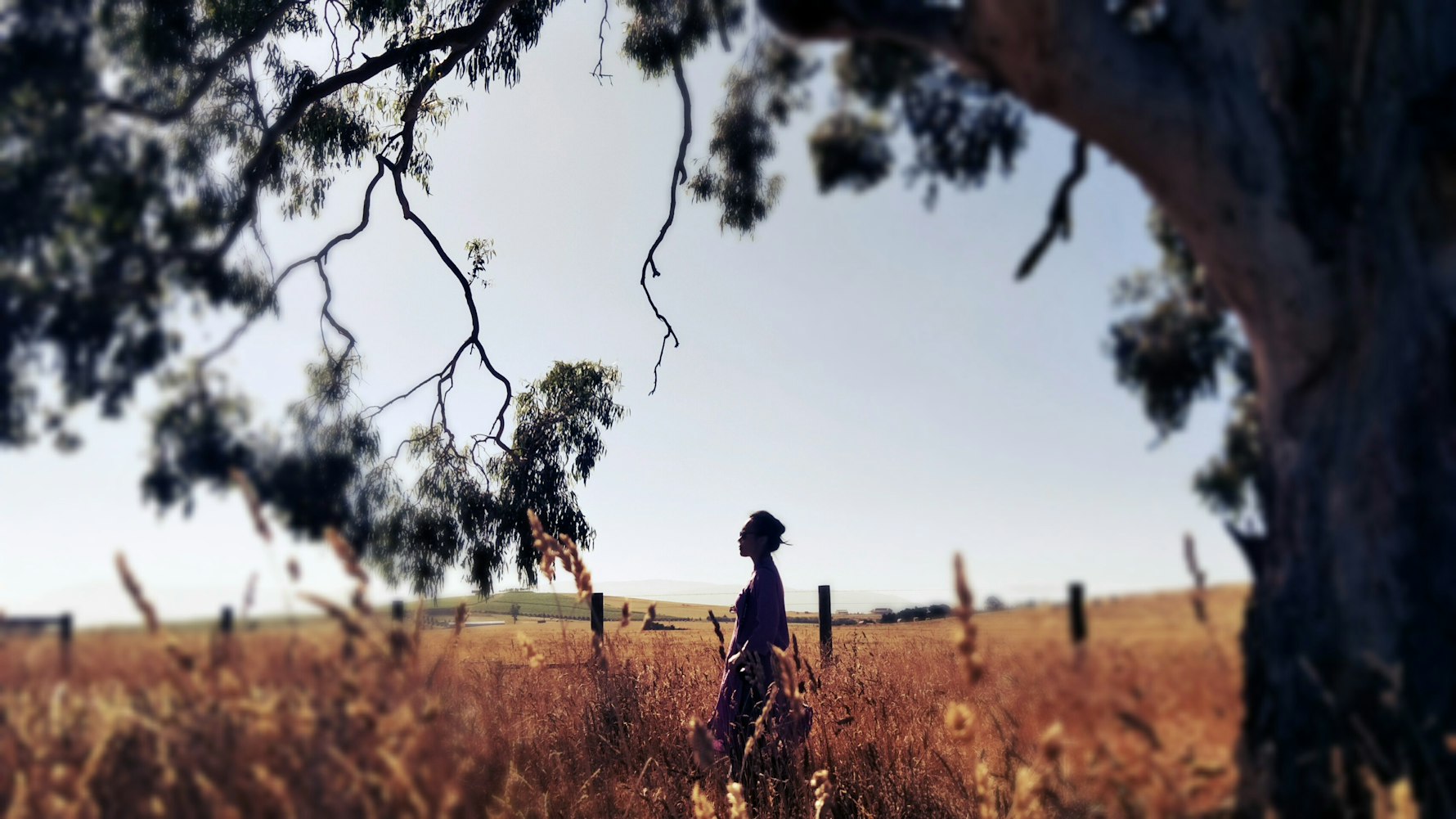 花宵道中电影,深度情感之旅的探索