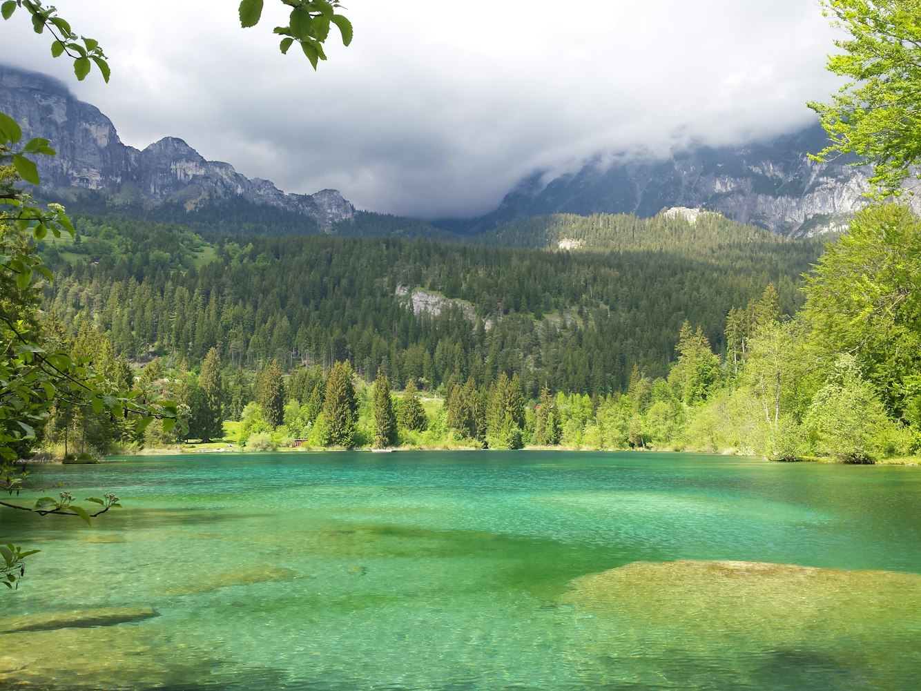 春暖花开最新旅行指南,探索自然美景,尽享生活美好时刻