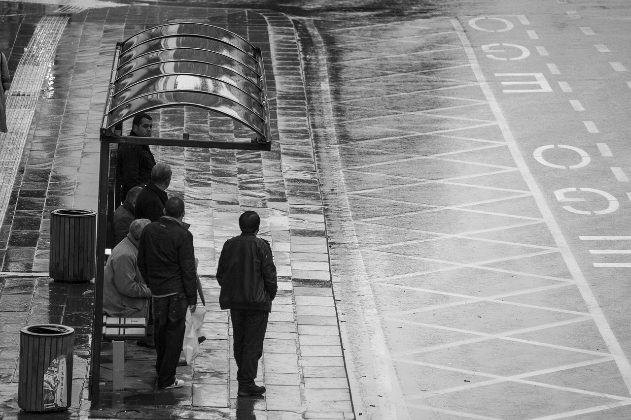 三国志最新版本的演变、特点与更新动态揭秘！