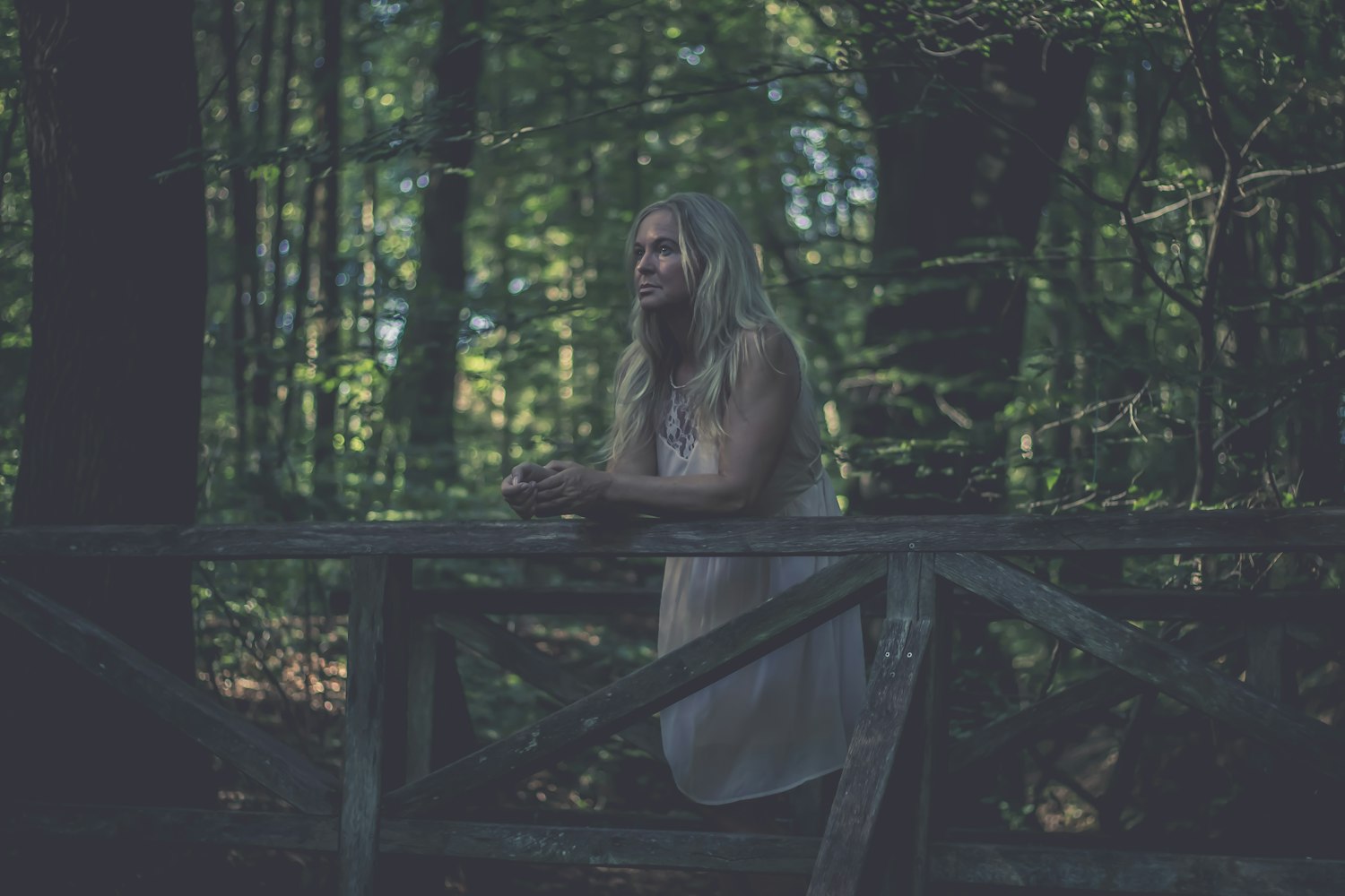 义桥碧桂园最新动态,塑造未来理想人居典范