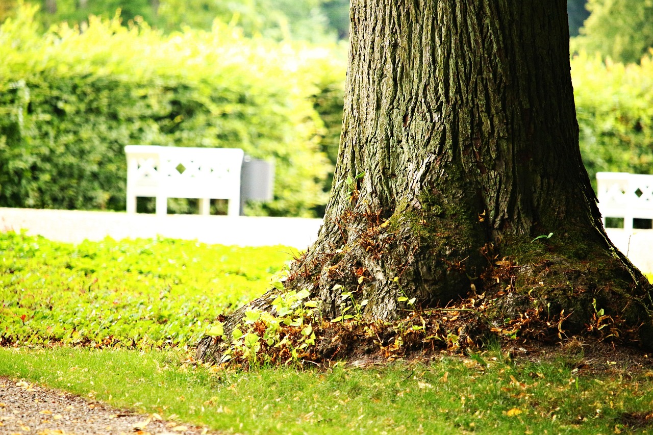 七里海国家湿地公园门票价格详解及攻略