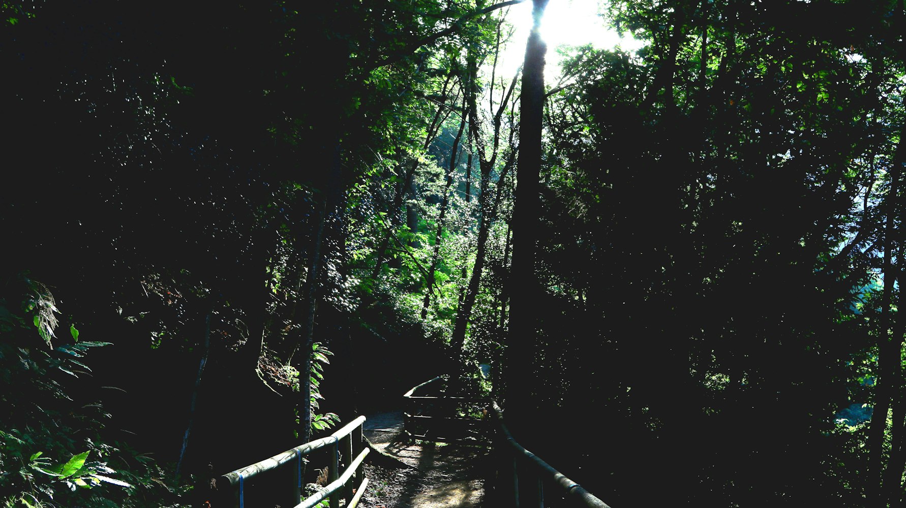 林由奈最新力作,探索艺术新边界的创意之旅