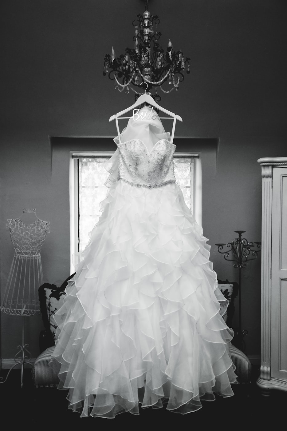 凤仪庄园最新动态与资讯