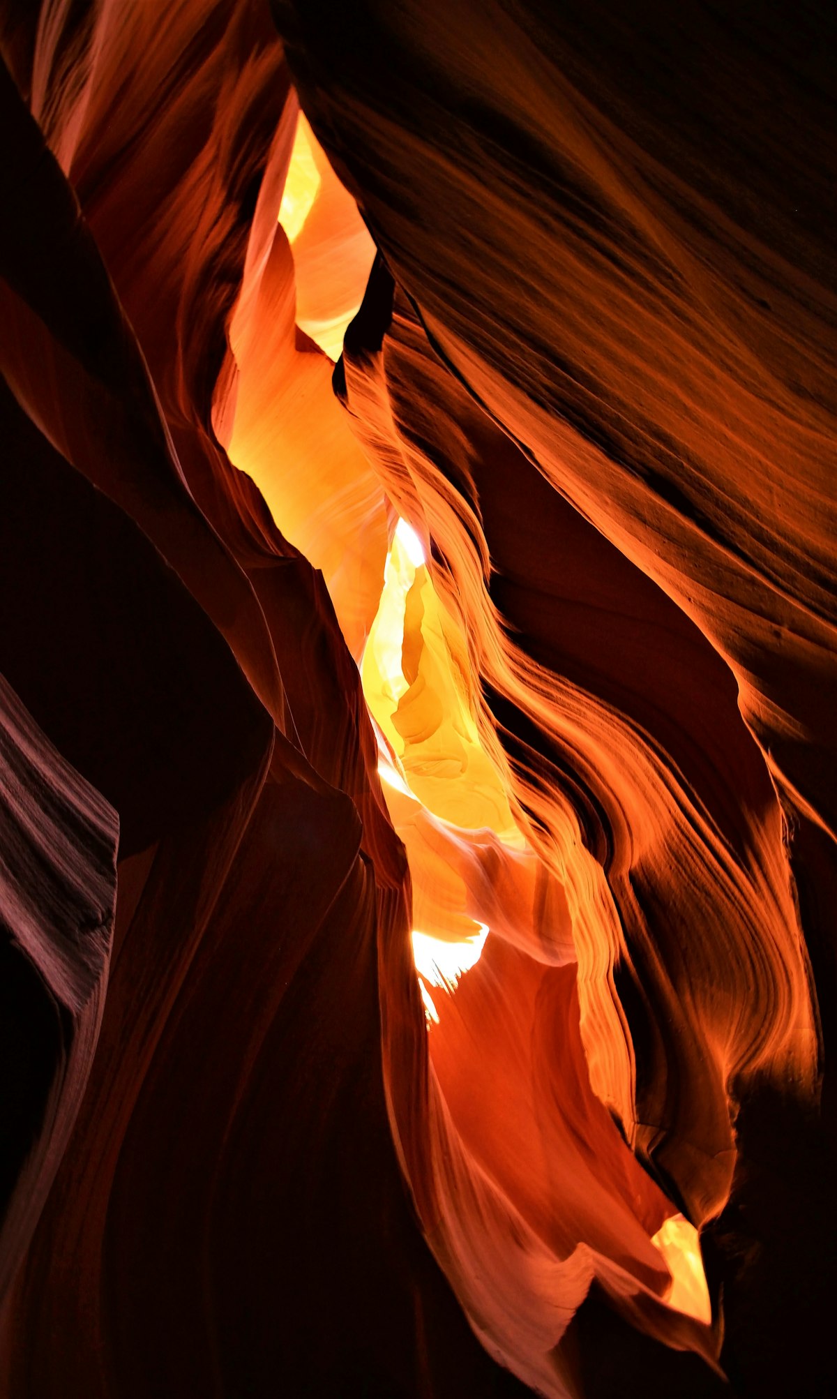 探索璀璨光影世界,明星壁纸精选集