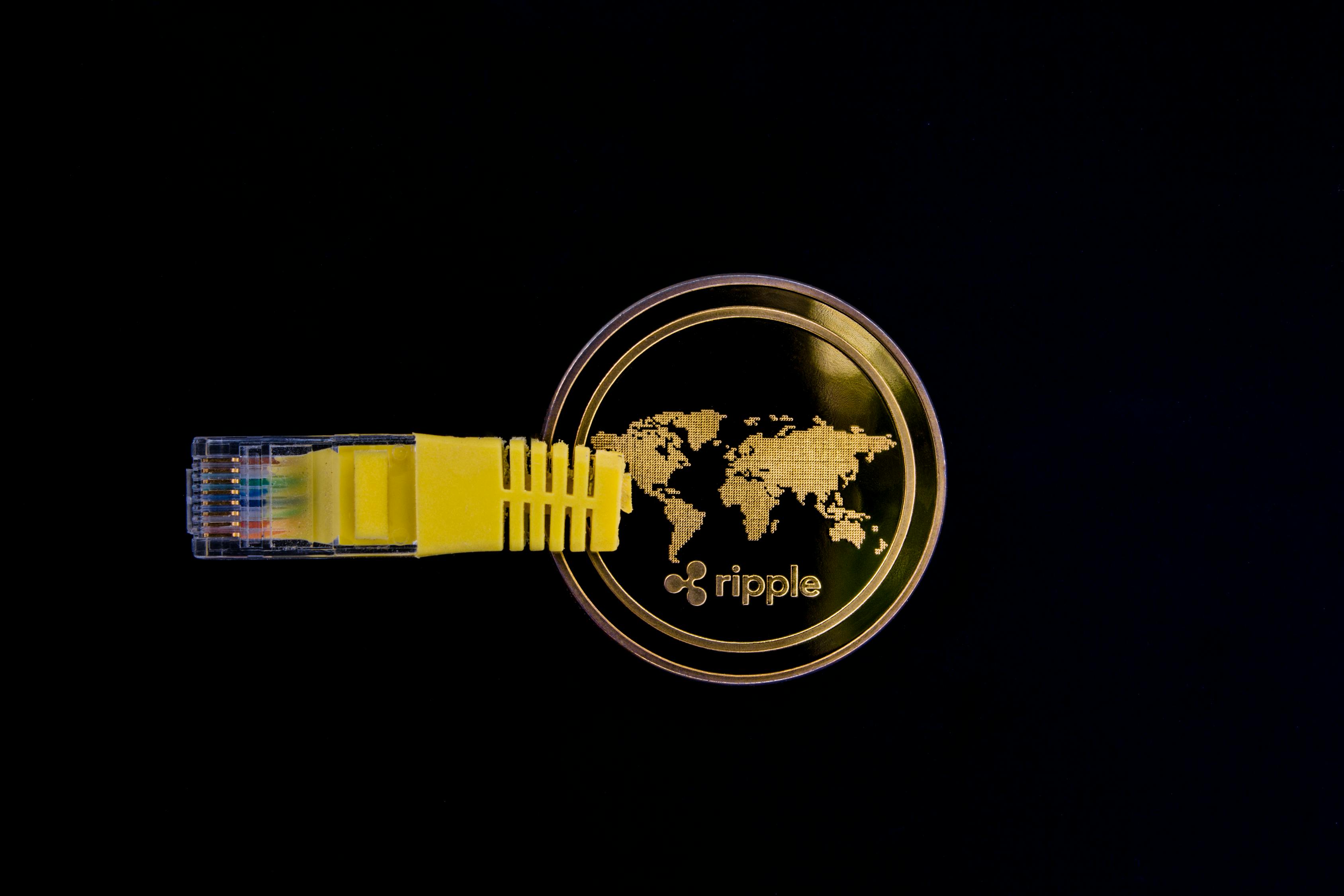 U币资讯，数字世界最新动态与前景探索