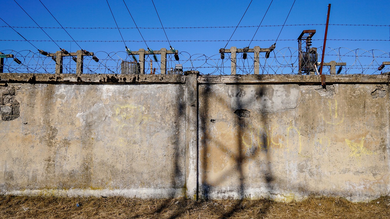 石井论坛引领行业发展前沿动态的最新资讯