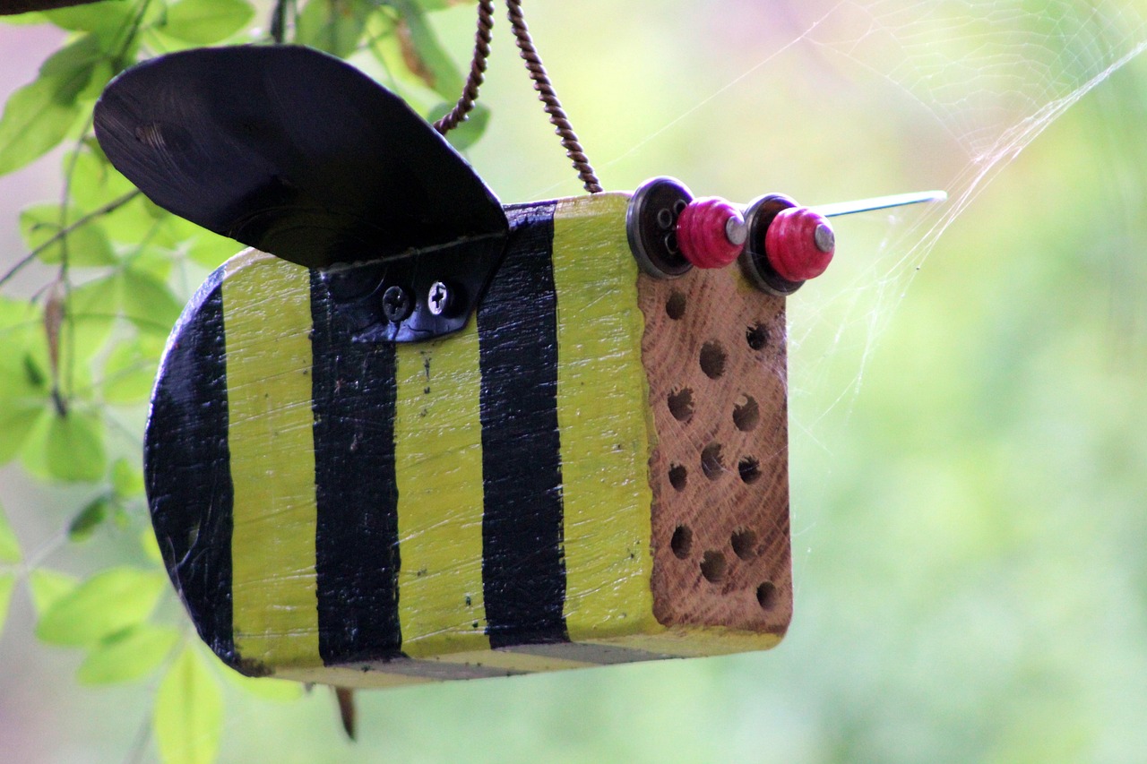 探索微观世界的奇妙之旅——活塞虫动态揭秘之旅