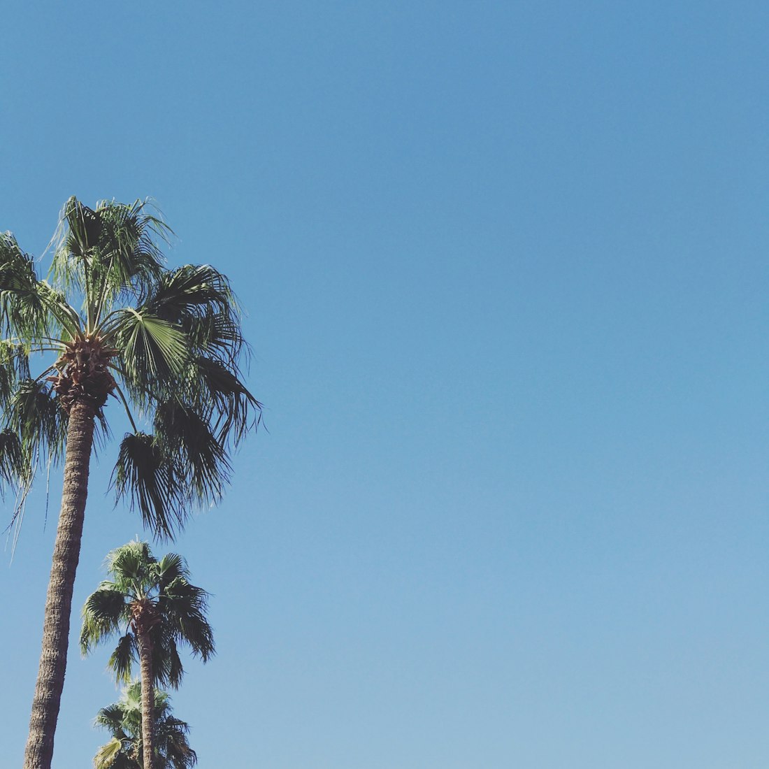 惠安疫情动态,全面应对,共筑防线