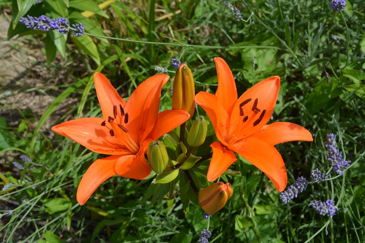 唐山丰润区繁荣发展最新动态及未来展望