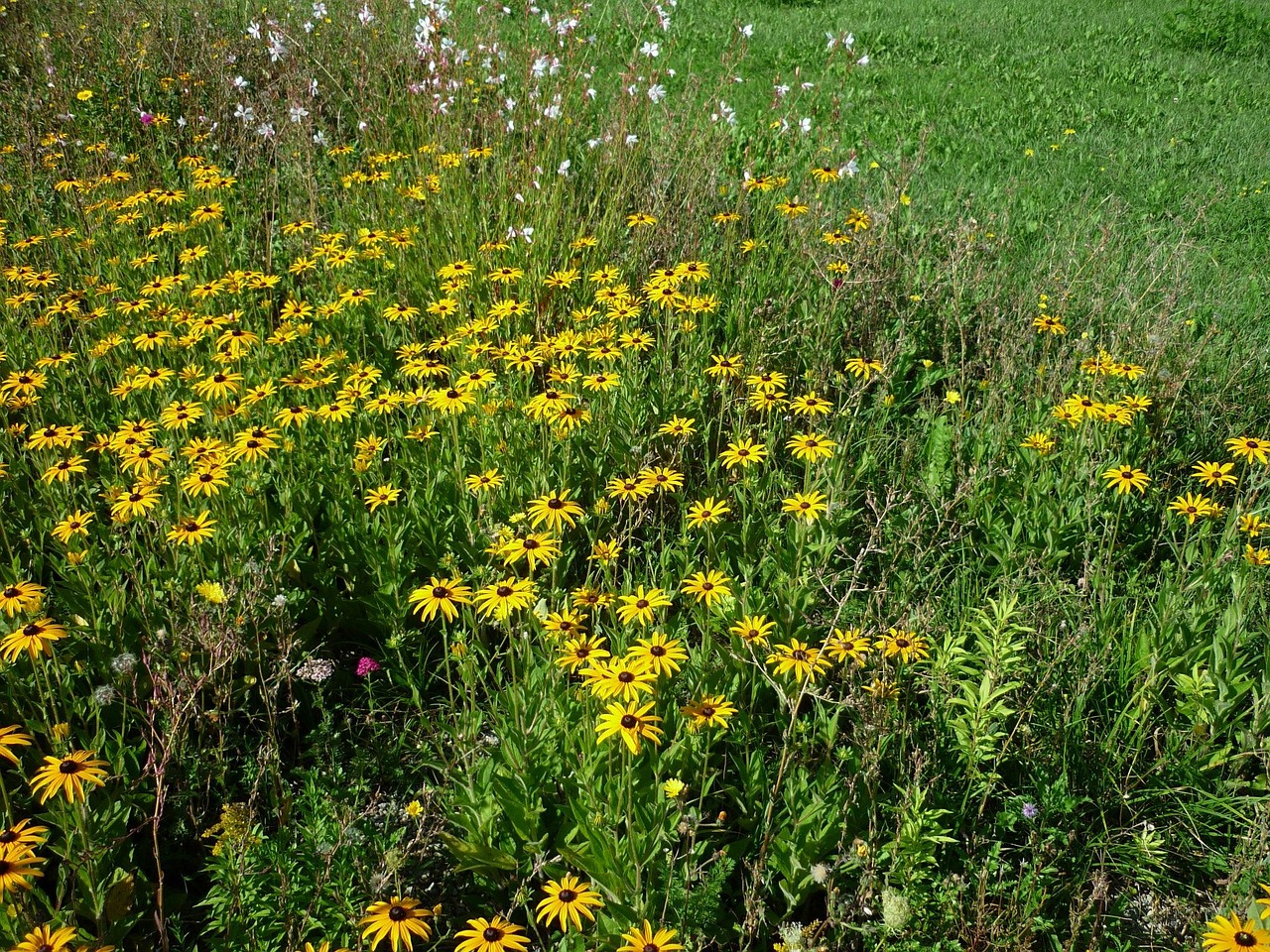 唐山丰润区繁荣发展最新动态及未来展望