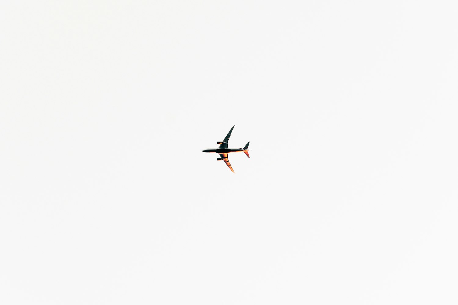 田林县最新招聘动态及其影响分析