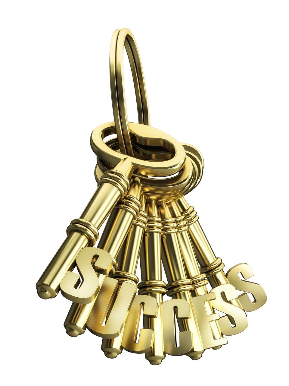 环境资讯速递,探索绿色发展前沿动态与应对关键挑战