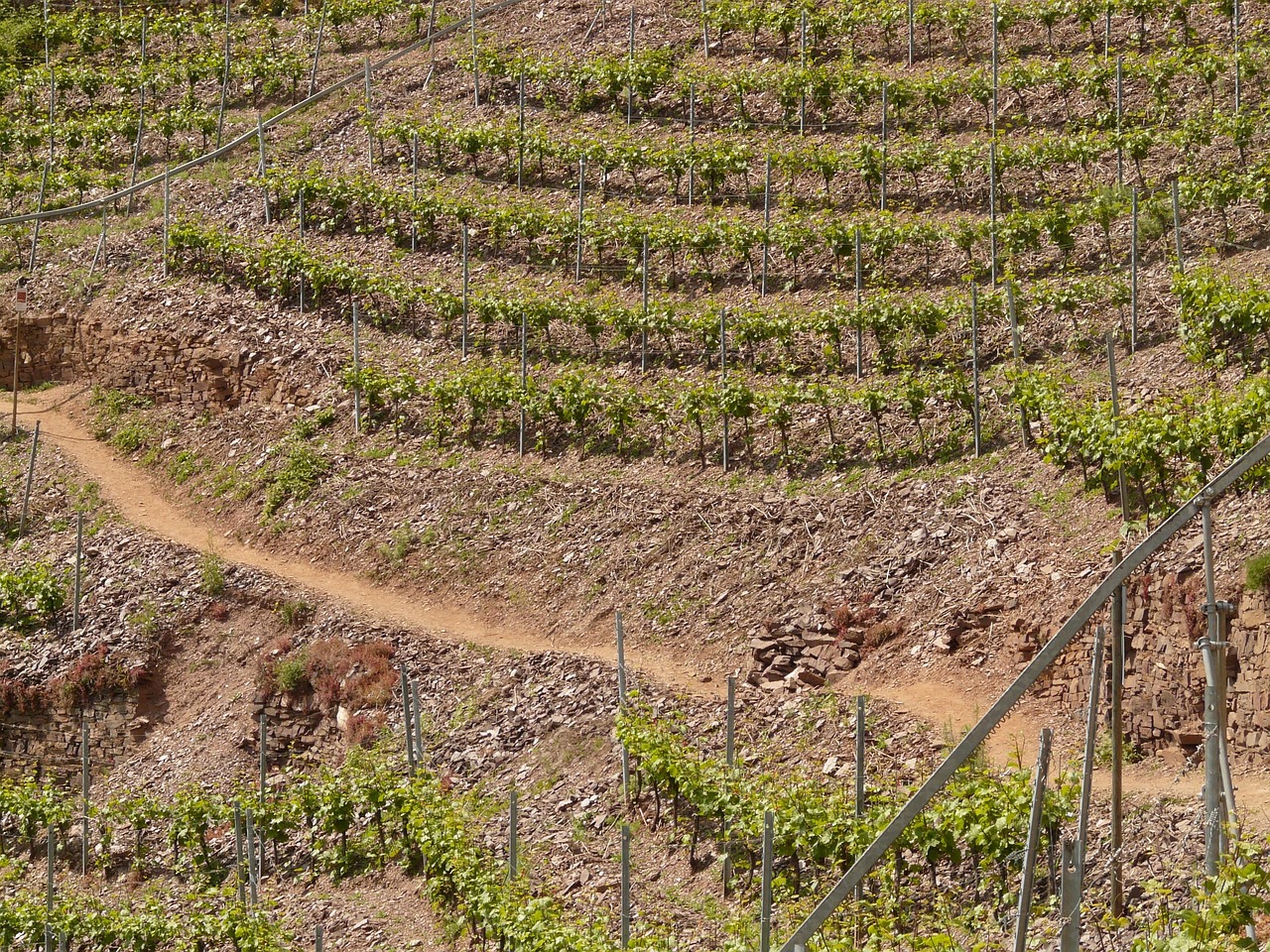 全州撤县设市动态,开启地方崭新篇章