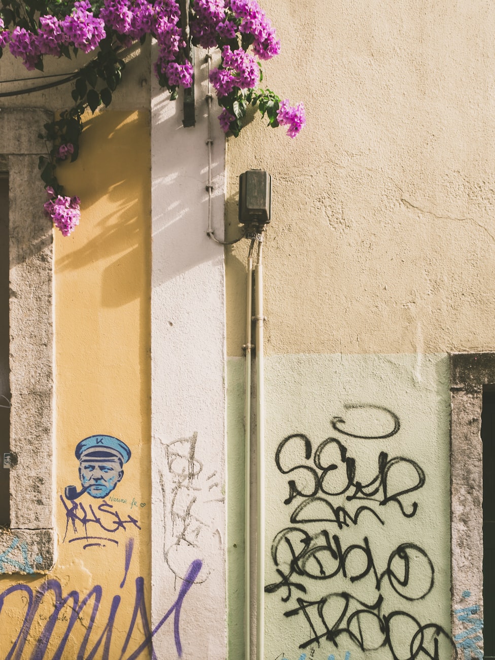 美国伦理电影网站最新动态,引领新潮流,探索伦理电影边界