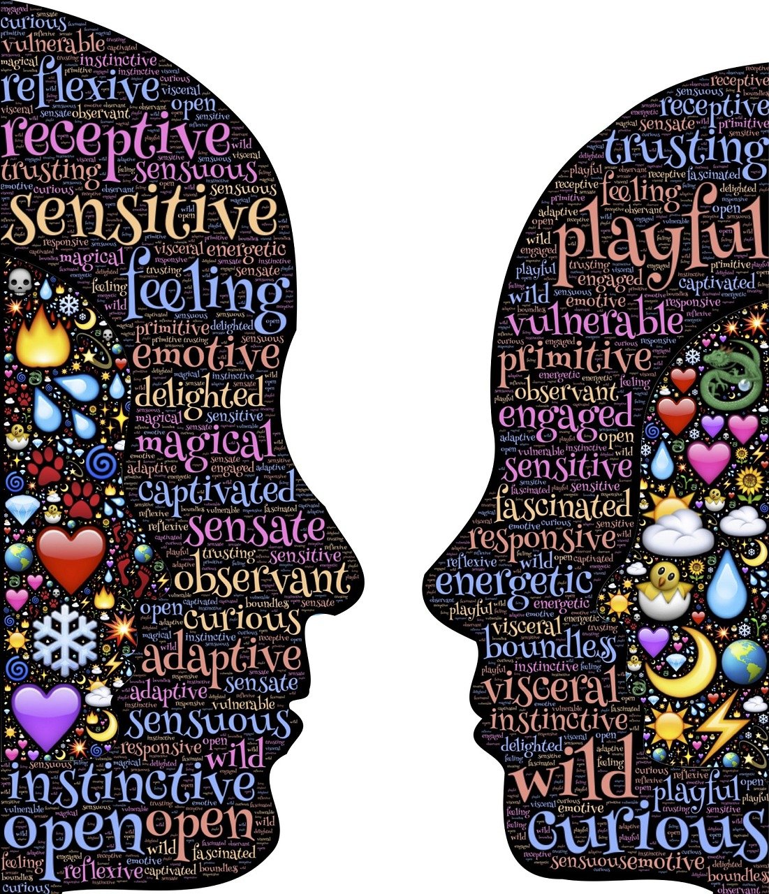 飞天诚信引领行业变革,塑造未来信任基石的最新动态