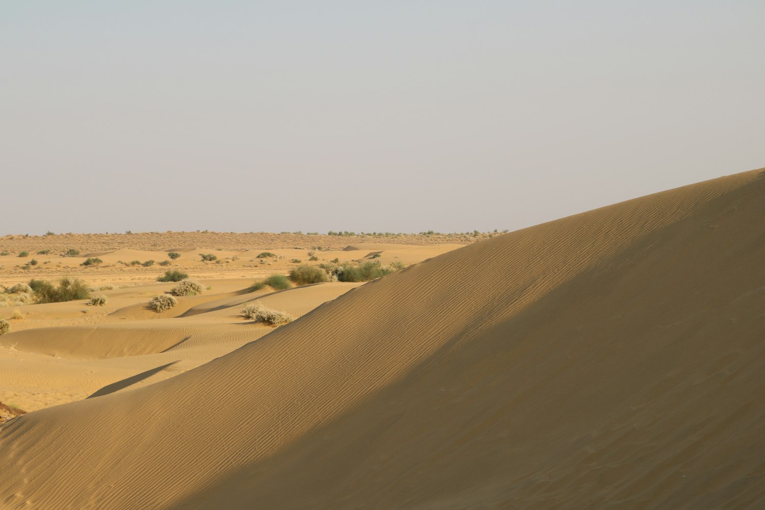 新锐影片佳作,探索电影艺术的无限魅力与创意边界