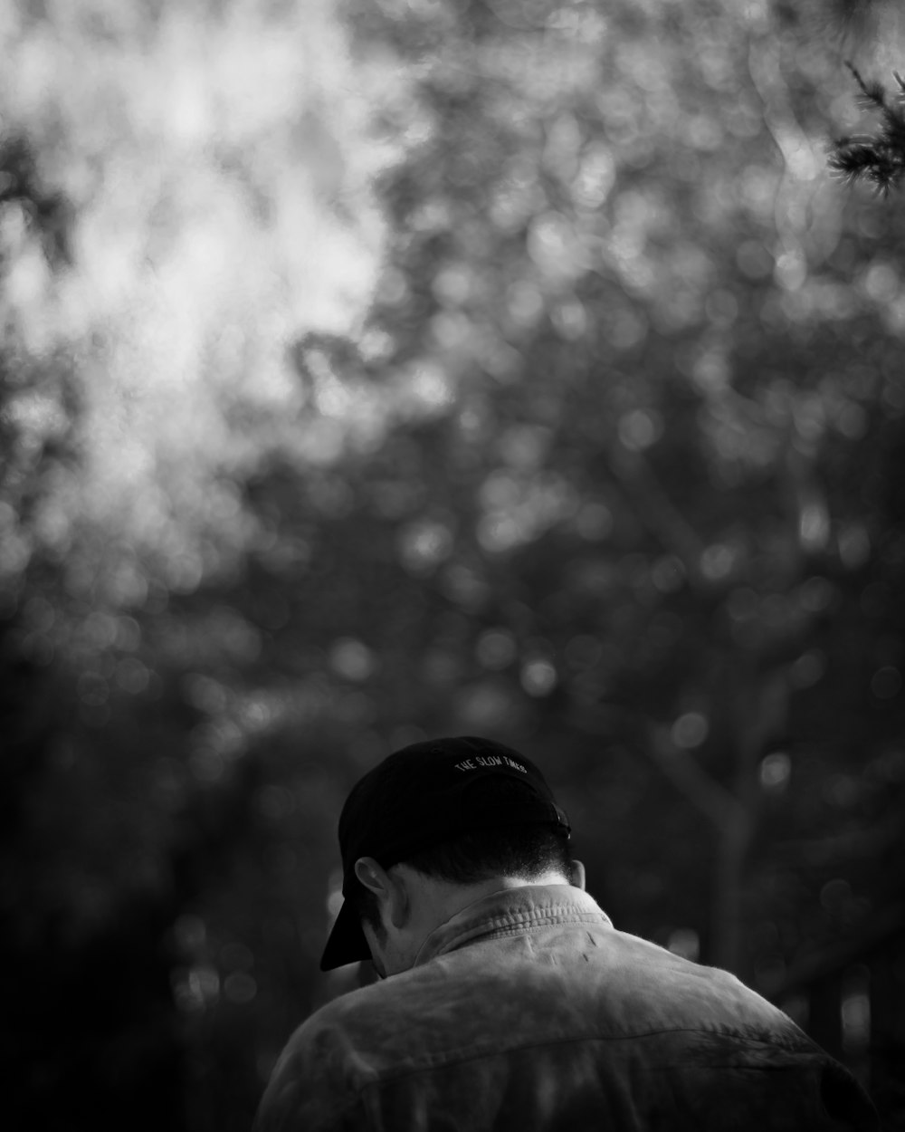 太原南寒圣都项目最新动态,开启城市新篇章的序幕