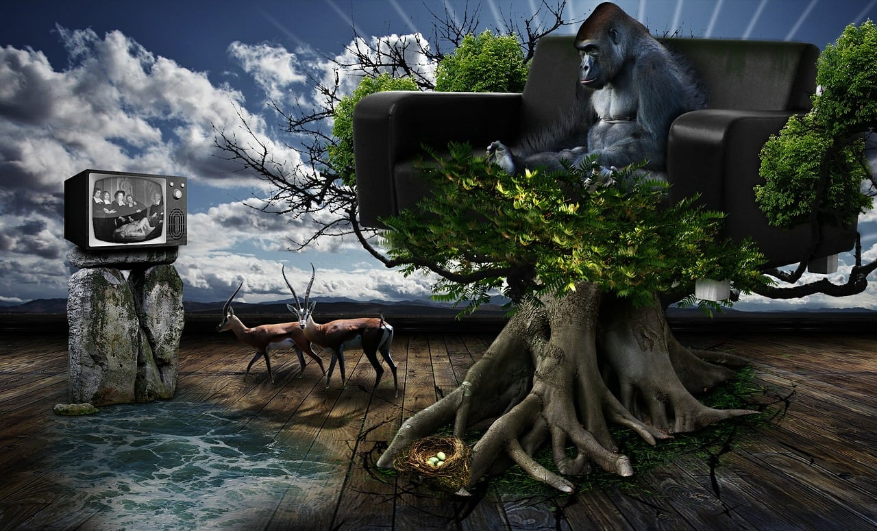 迪士尼漫月最新,梦幻世界的持续创新之旅