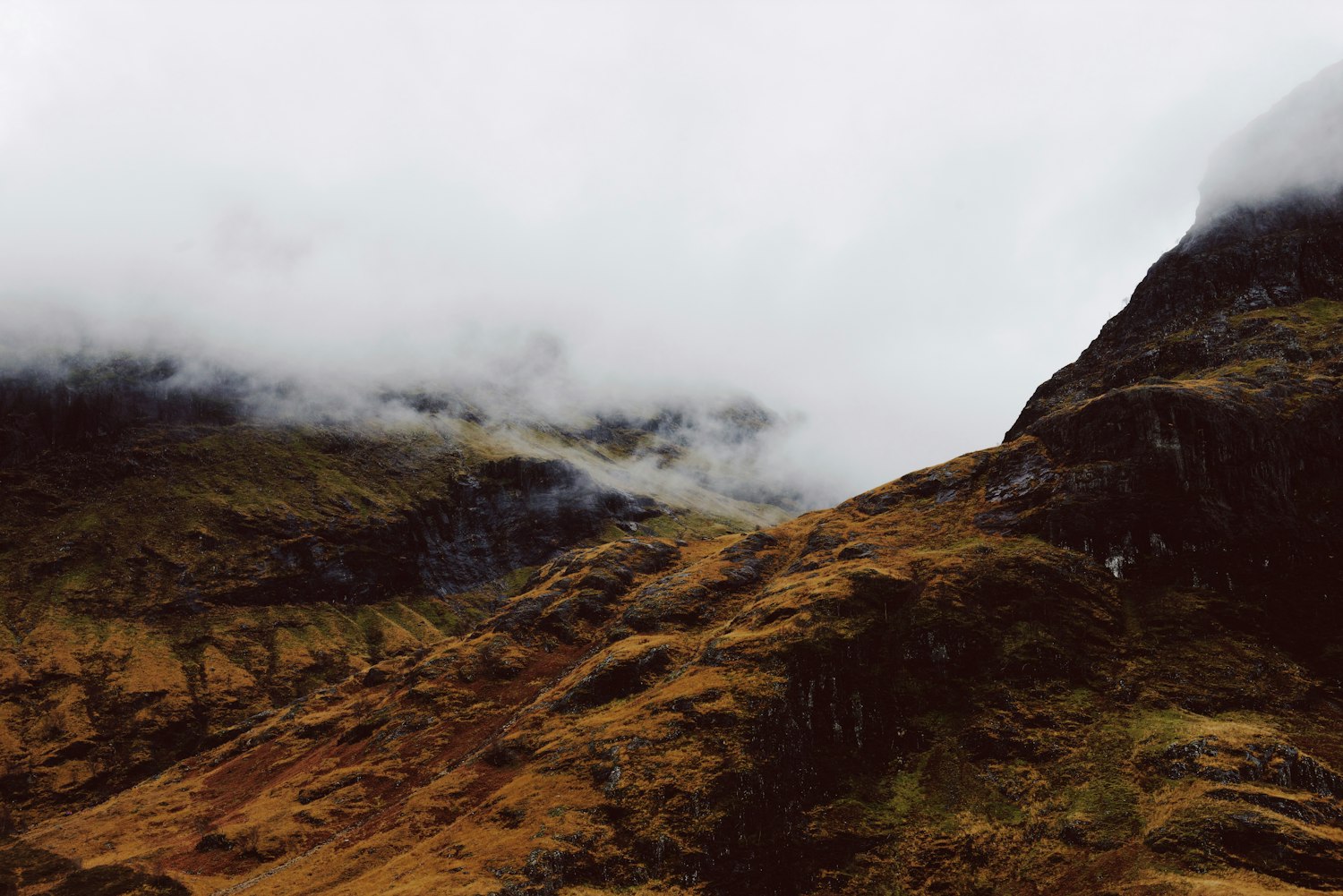 韩国明星钟淑最新动态揭秘