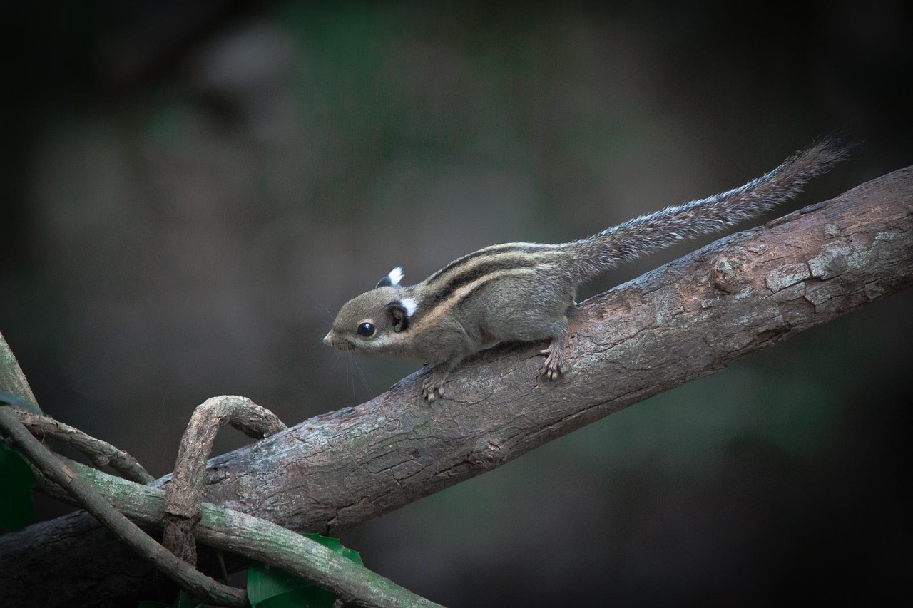 缪允东的最新动态与成就,探索前沿领域的引领者