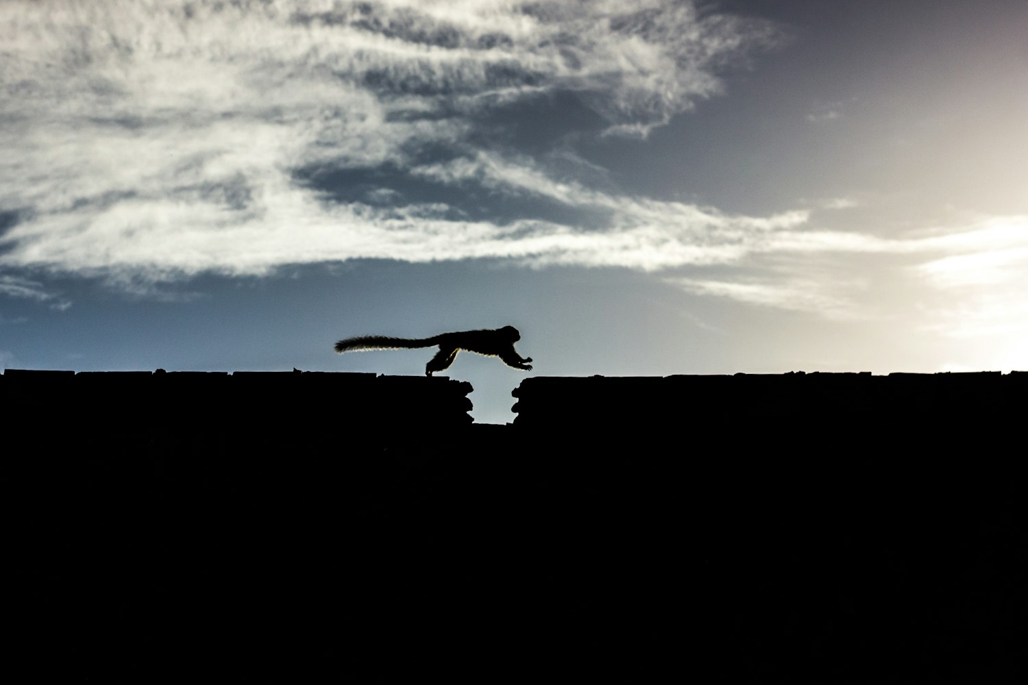 文茜新动态,引领时代潮流,探索前沿领域