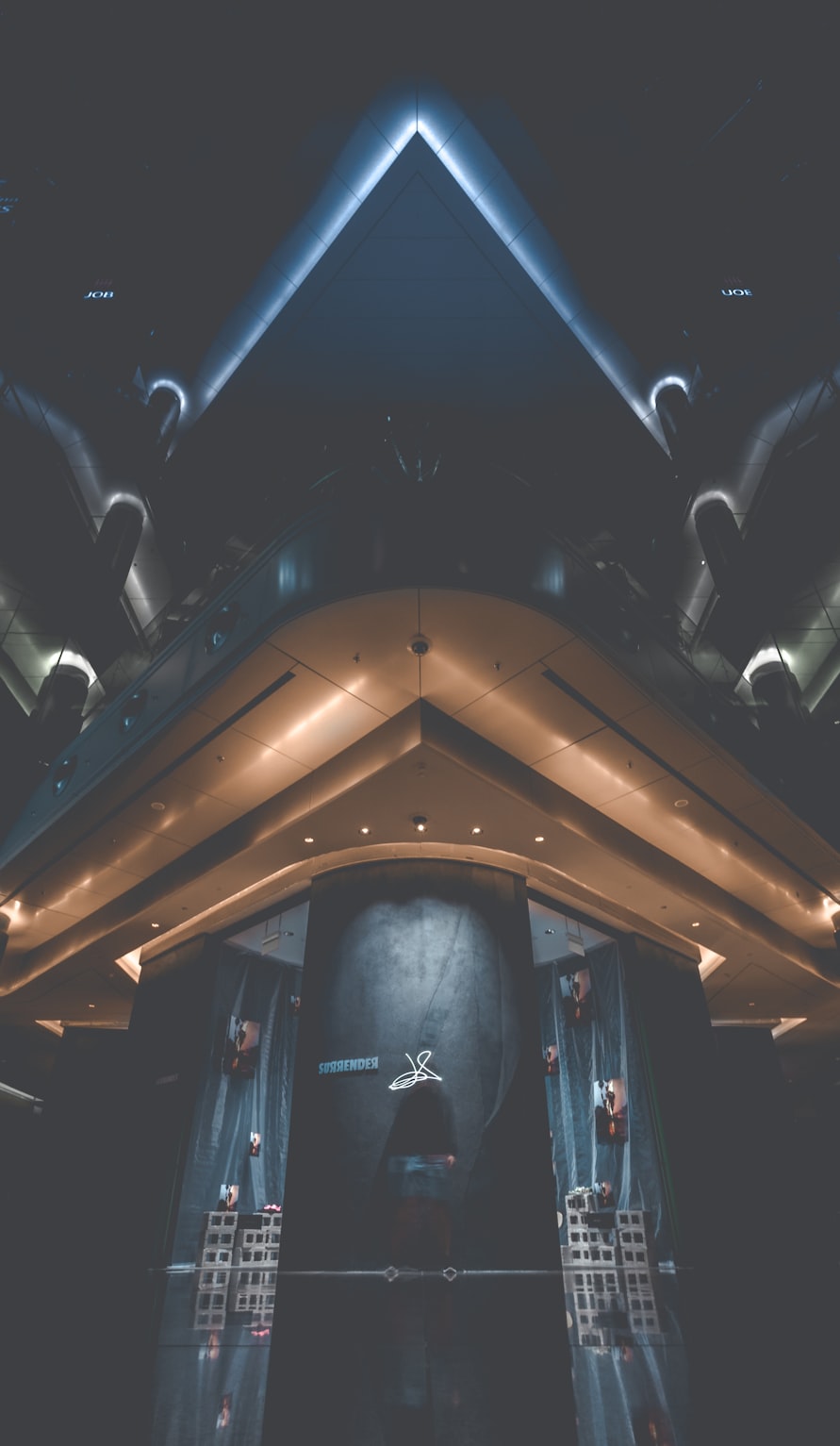 猫腻奇幻新篇章,神秘未知世界的探索之旅