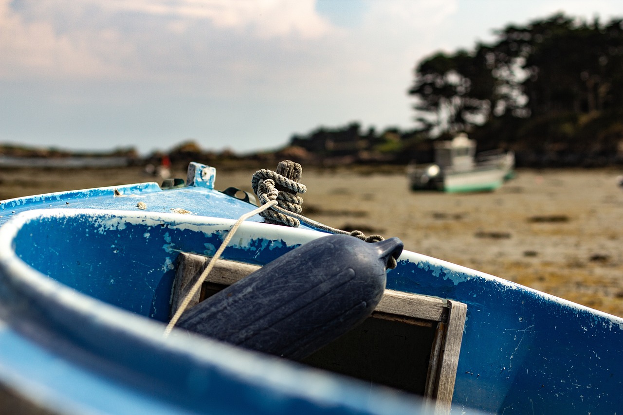 全球疫情动态更新,最新防疫资讯与应对策略进展报告