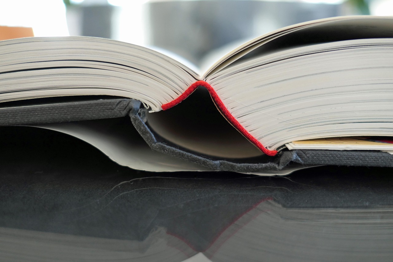 南京最新资讯概览,最新动态一网打尽