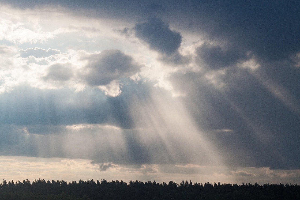属羊明星璀璨闪耀，星光熠熠的魅力无限