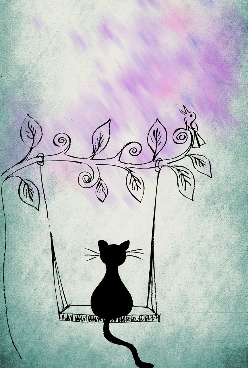 新华社最新消息速递,全球动态与国内要闻聚焦