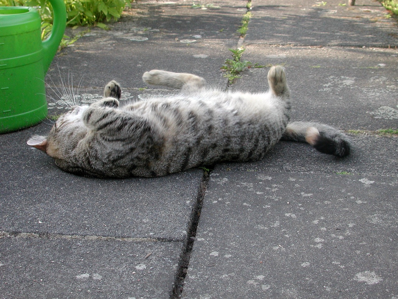 新华社最新消息速递,全球动态与国内要闻聚焦