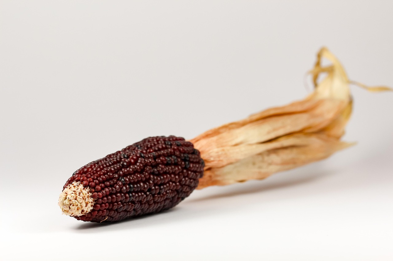 传统与创新交融,新派卤味精选的味蕾盛宴