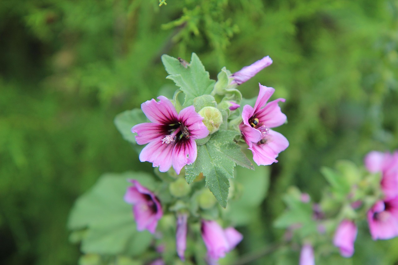 南京最新招聘动态及其地区影响分析