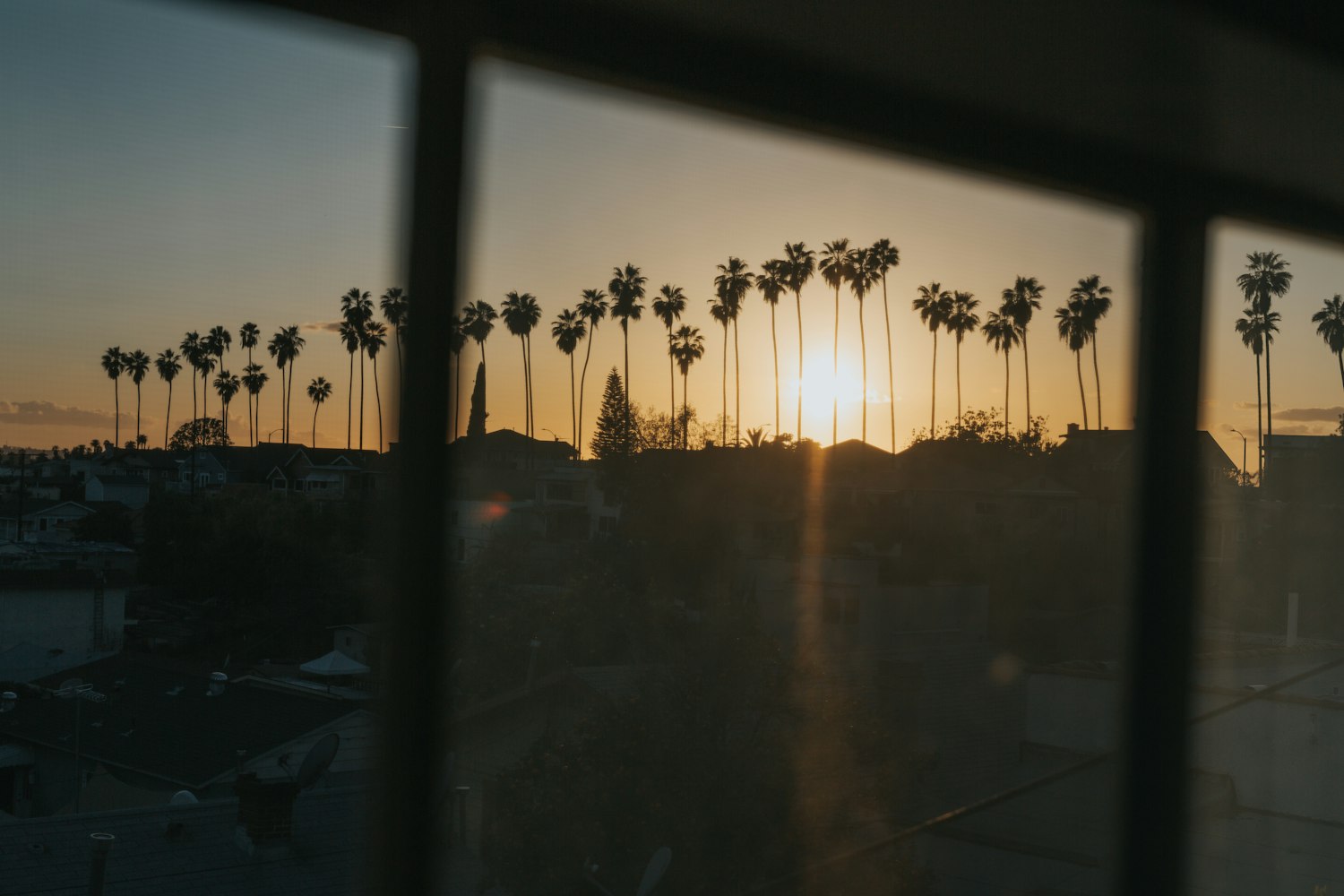 探索电影中的丰富情感与视觉盛宴,肉多电影专题分享