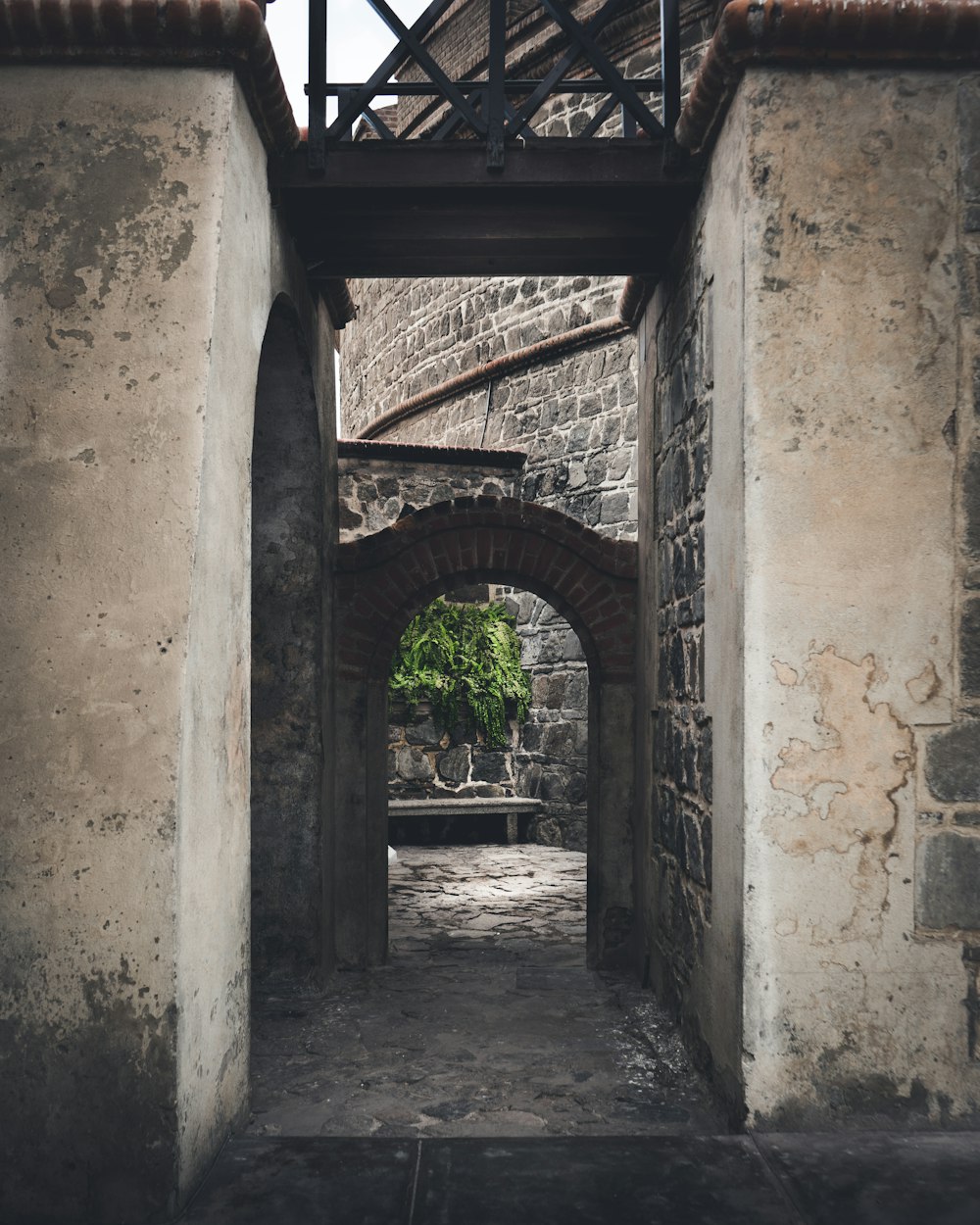 日本电影的独特魅力与历史文化背景探索