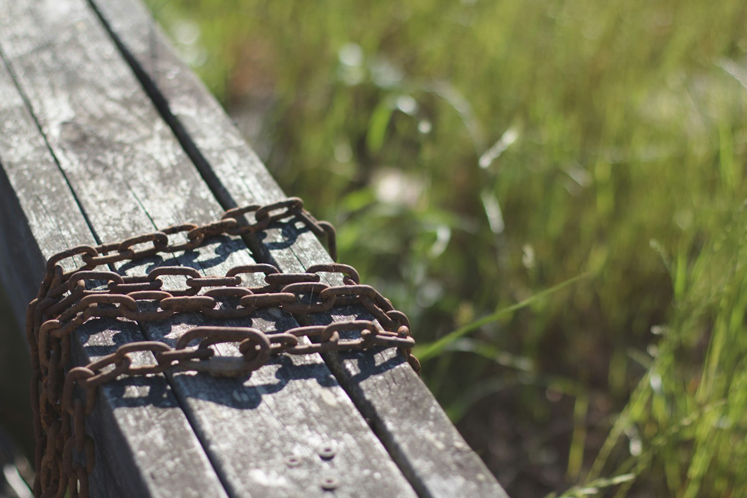 张鹤瑶近期动态揭秘,多元领域的探索与成就新篇章