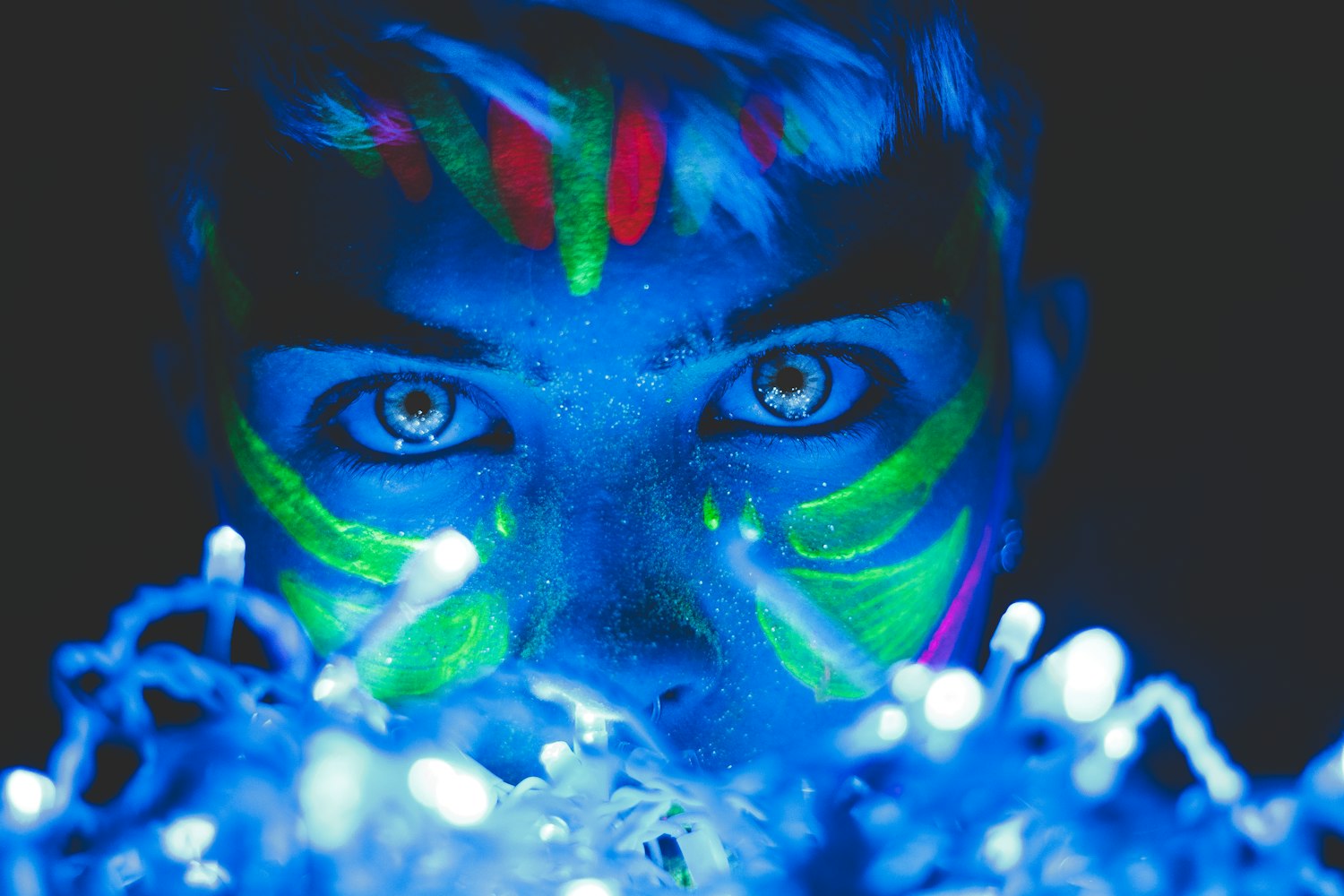 明星葵,闪耀之光与独特魅力的绽放