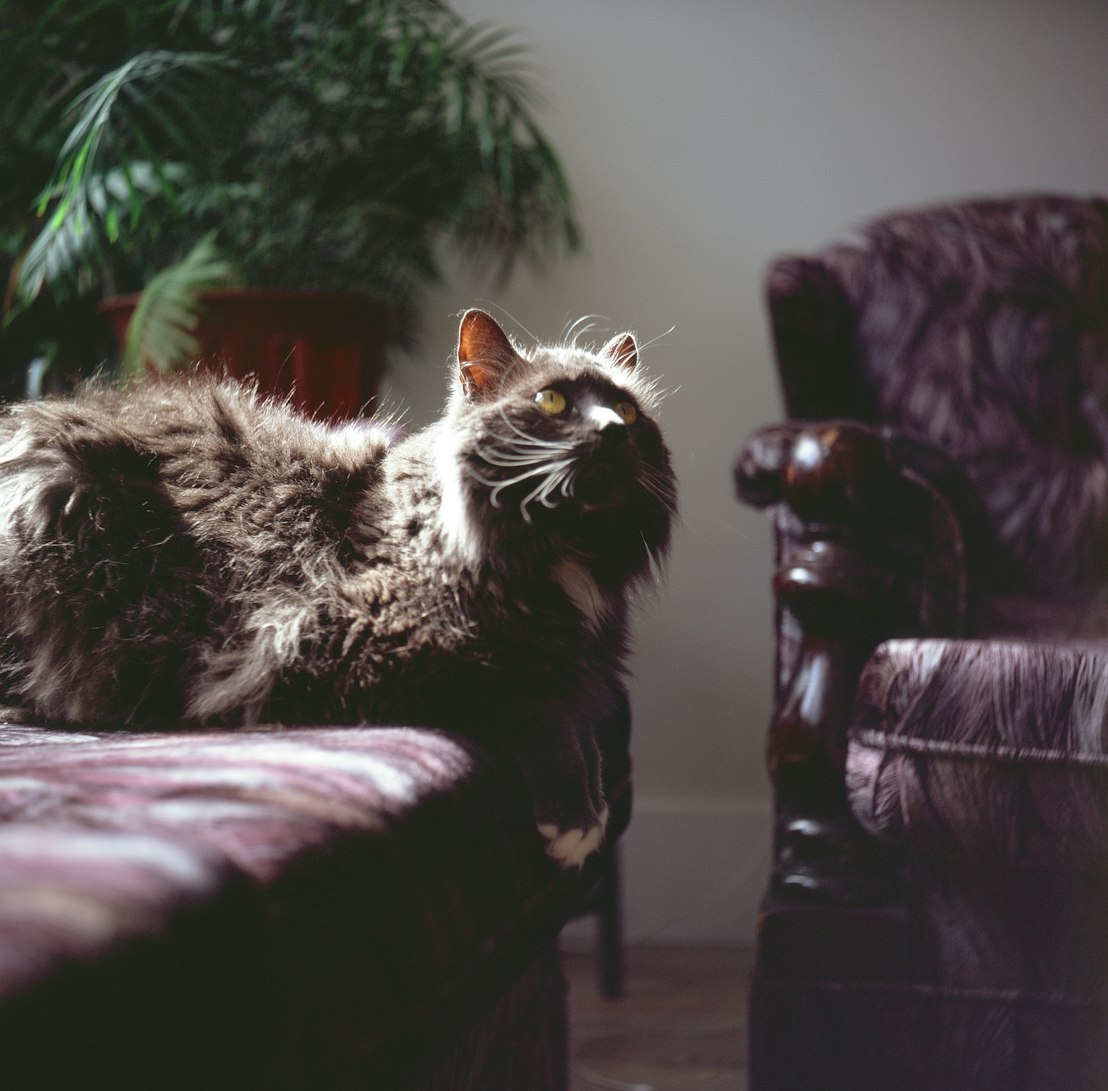 电影被爱情遗忘的角落,探索爱与遗忘的深刻主题