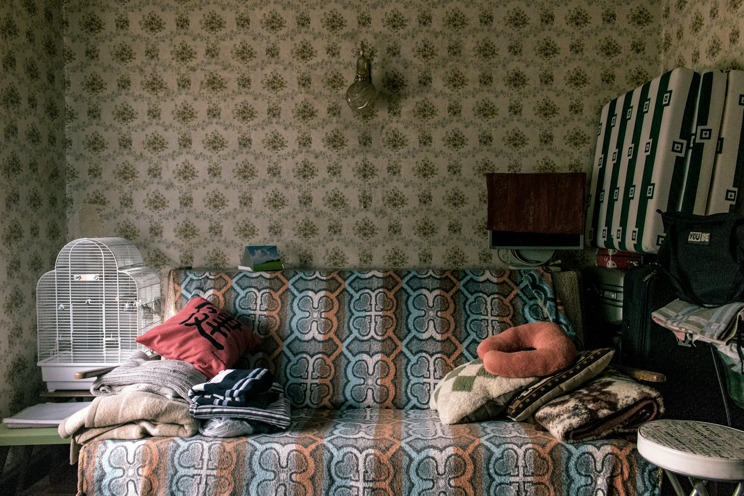 电影世界冒险王,奇幻未知之旅的探索者