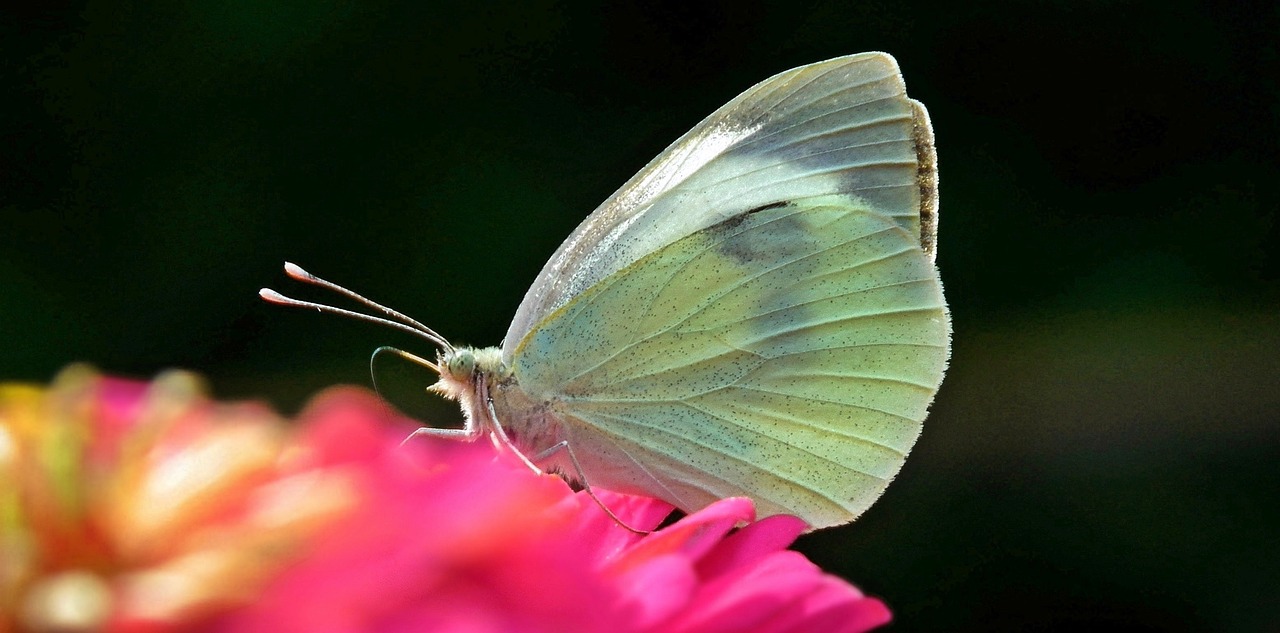 江苏滨海最新资讯概览,滨海动态一网打尽