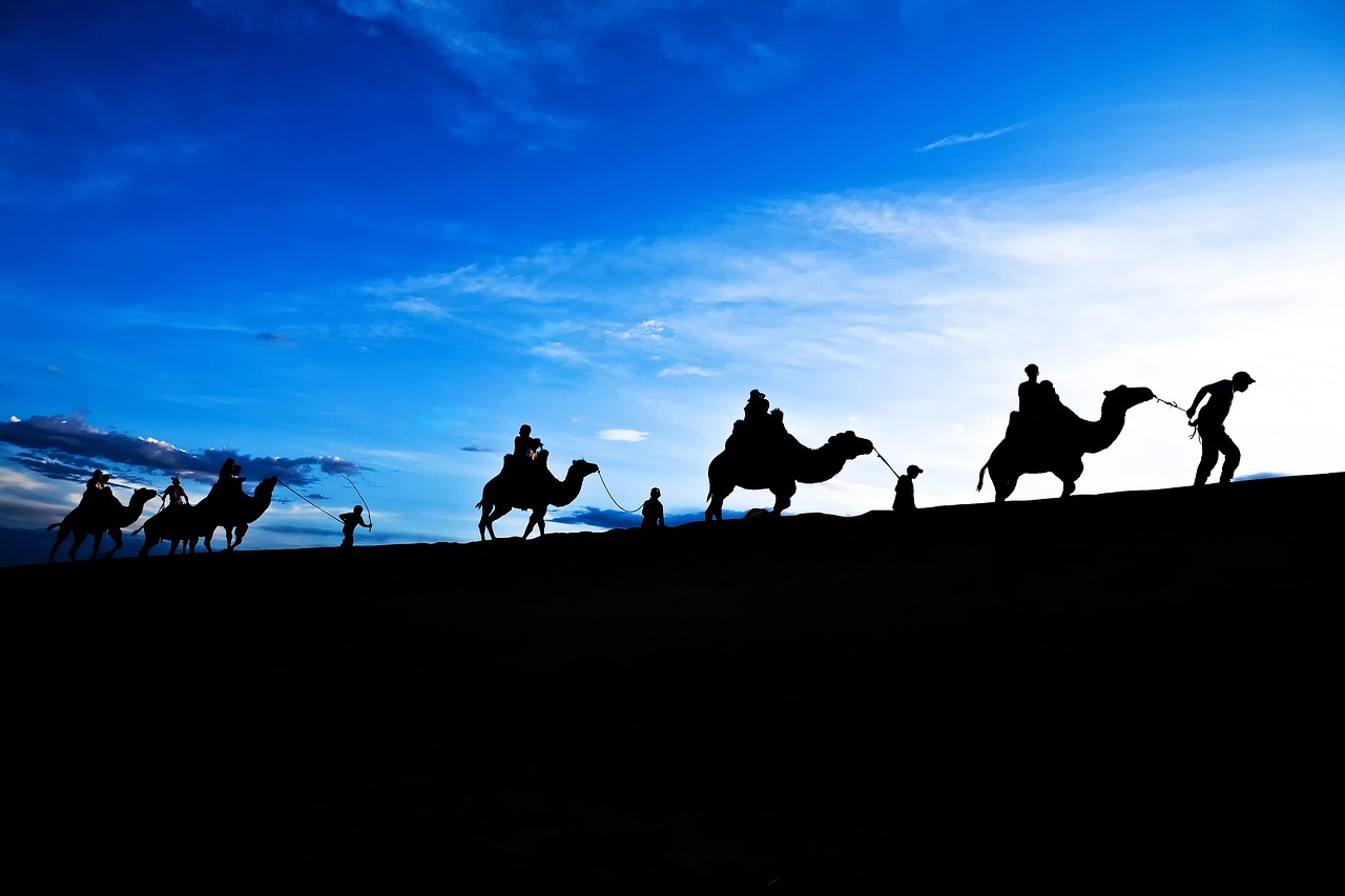 探索2017年度热门广场舞的魅力，舞动新时代