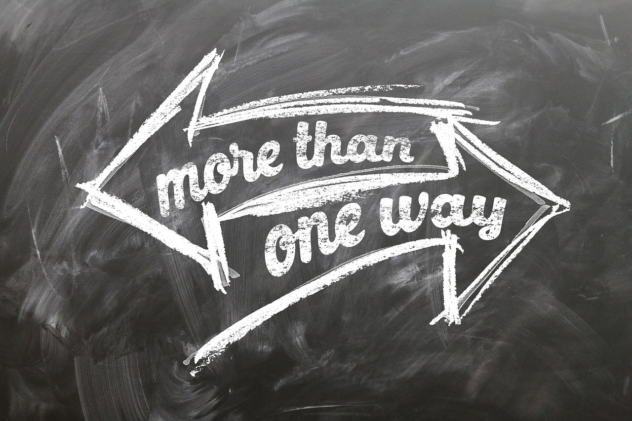 权力与智慧的交织，权路通途最新章节