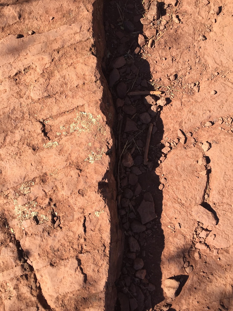 奉贤最新资讯,探索城市新动态,掌握未来发展趋势