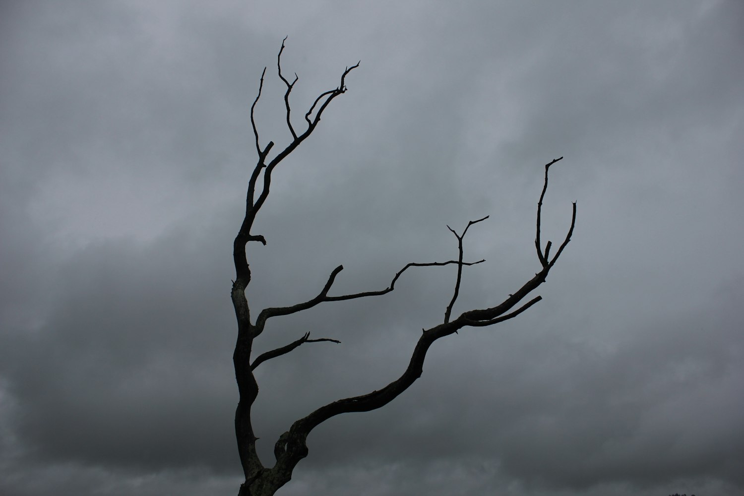 比赛风云,挑战与机遇的挑战之路