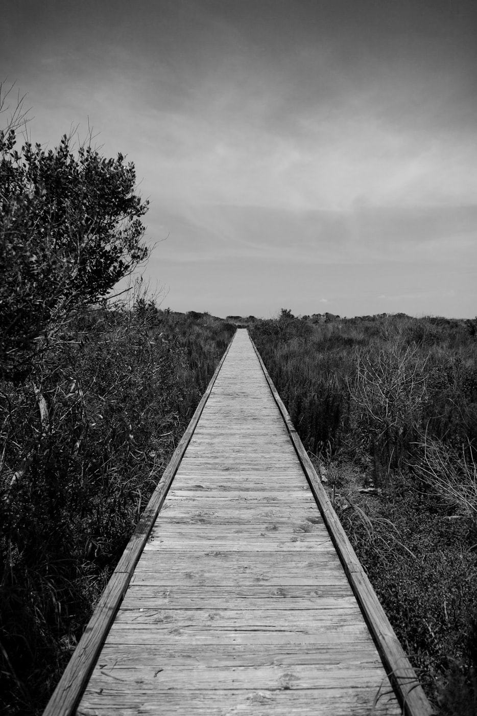 探索消失现象背后的深层含义,最新消逝记揭秘真相