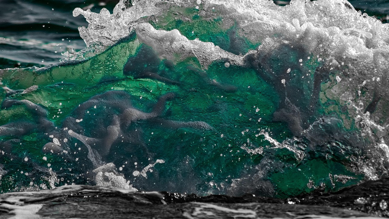 小牡蛎资讯,揭秘海洋世界的秘密与机遇