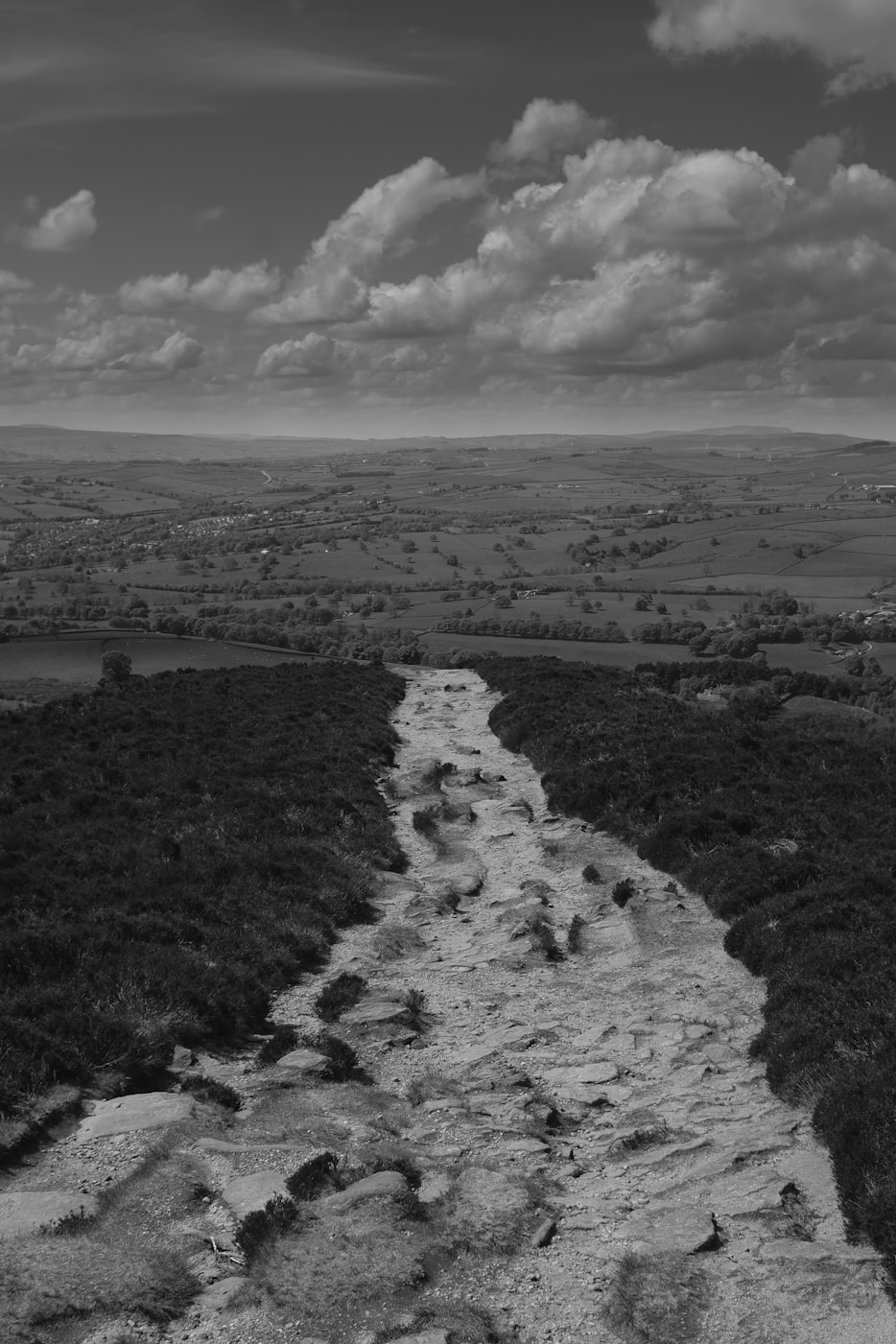 淘宝最新动态引领电商新潮流重塑购物体验